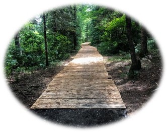 Newly reconstructed wooden boardwalk for the Allagash Falls portage on the Allagash Wilderness Waterway.