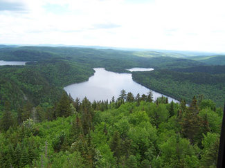 Deboullie Pond surrounded by coniferous and deciduous forest, an aerial view