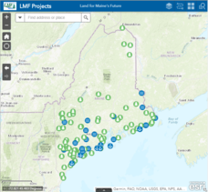 LMF Project Map