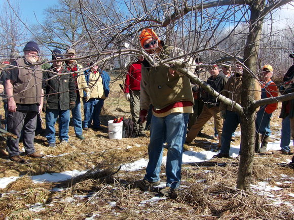 C.J. Walke pruning workshop