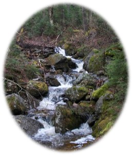 One of many waterfalls at Grafton Notch State Park.