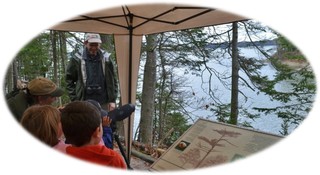 Osprey watching at Wolfe's Neck Woods State Park.