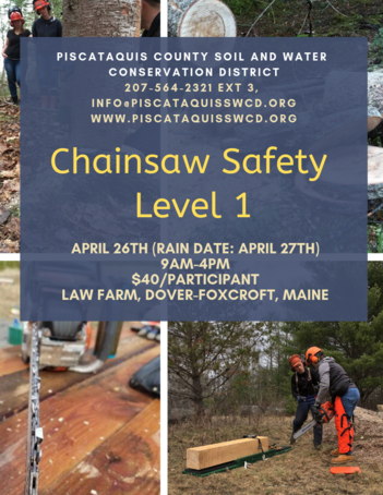 Hands-on Chainsaw Safety Workshop