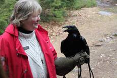 Feathers over Freeport