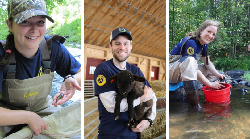 Collage of Environmental Stewards serving