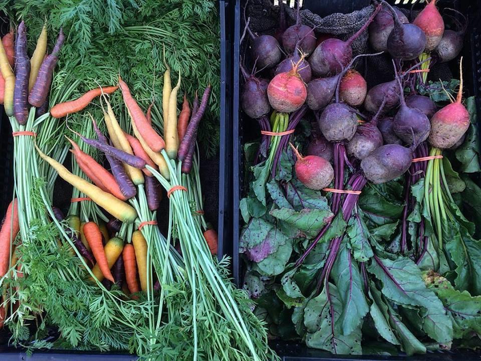 PSA Mid Coast Photo credit: Dharma Farm, Washington, ME