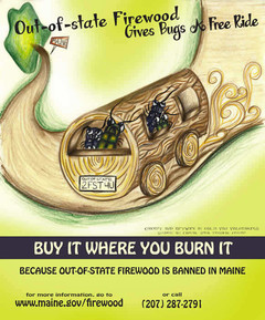 poster with  cartoon of invasive forest bugs in log-mobile wiht notice that out of state firewood is banned.