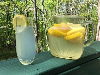 glass and pitcher of fresh squeezed lemonade with woods in background