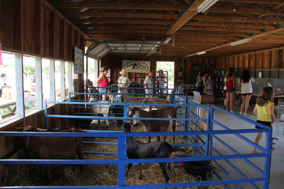 Maine Agricultural Fairs - Monmouth Fair