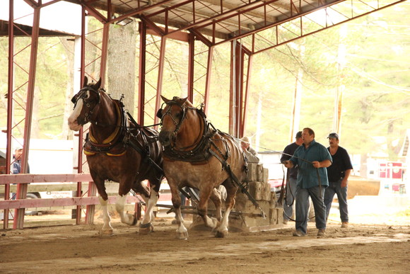 Ossipee Valley Fair