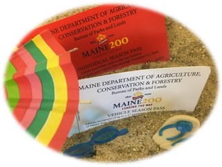 Park passes for 2020 shown in sand.