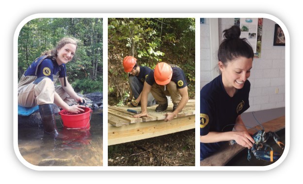 MCC Voluteers in action water quality testing, bridge building, lobster monitoring.