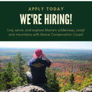 Maine Conservation Corps We're hiring image of person on rock mt. top overlooking  view of fall foliage.