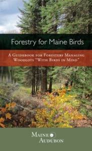 Forestry for Maine Birds book cover