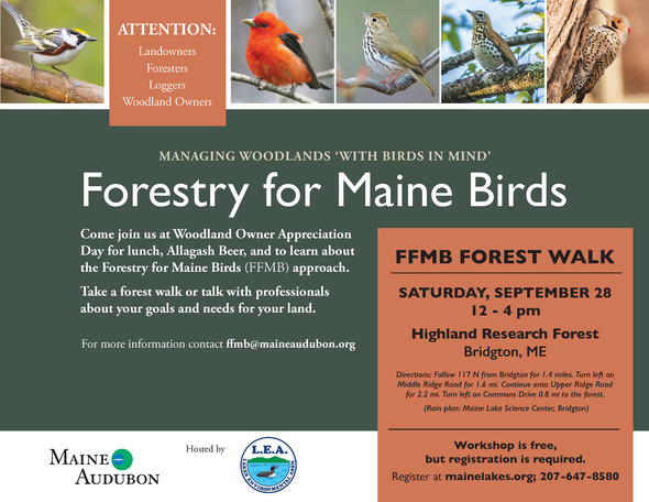 Birds Workshop Flyer