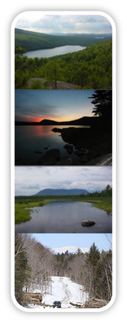 Photo montage of various forest locations and a timber operation.