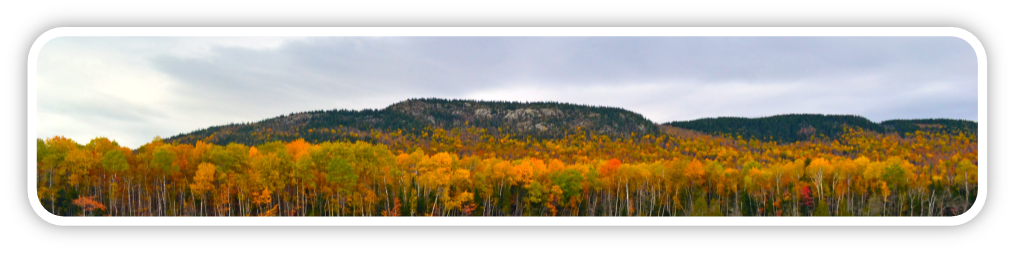 autumn foliage with mountain view at attean