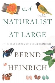 Book cover of Naturalist at Large: The Best Essays of Bernd Heinrich