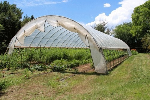 Managing Soil Nutrients in High Tunnels 