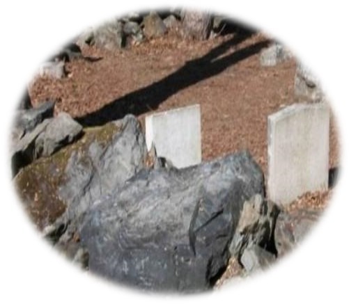 Pet cemetery at Mackworth Island