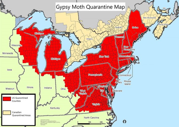 Gypsy Moth Quarantine Map