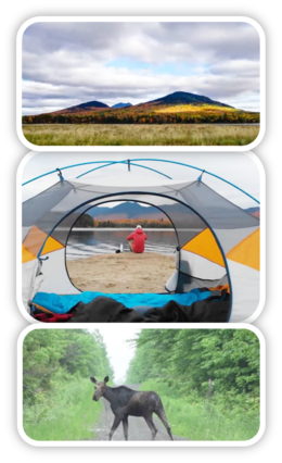 Photos from Untold Secret film by Maine Public Lands: Bigelow Range in autumn, view through dome tent of  Bigelow lake and range, and an adult moose. 