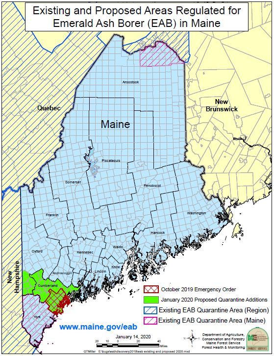 January 2020 Proposed Revisions to Maine's Emerald Ash Borer Quarantine