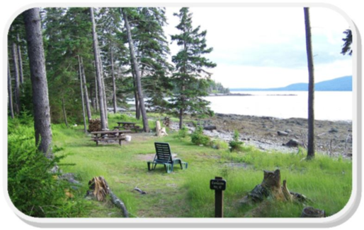 Campsite with ocean view at Warren Island State Park.