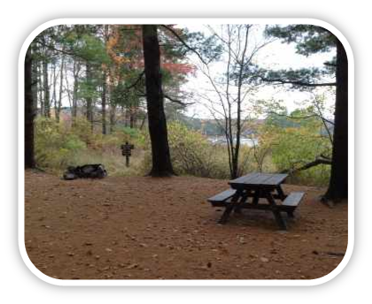Woodland campsite with picnic table, grill and water view at Sebago Lake State Park, Maine.