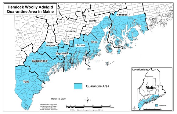 Maine Hemlock Woolly Adelgid Quarantine Area