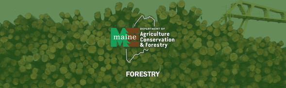 DACF Bureau of Forestry