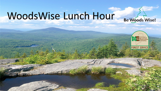 WoodsWise Lunch Hour