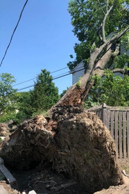 Storm Cleanup - Maine Forest Service