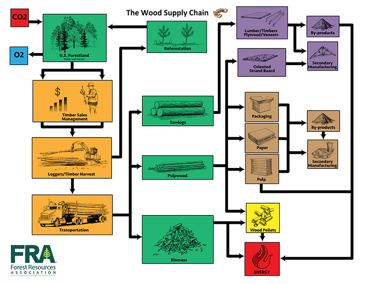 The Wood Supply Chain  Credit: Eric Kingsley, Forest Resources Association