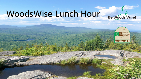 WoodsWise Lunch Hour