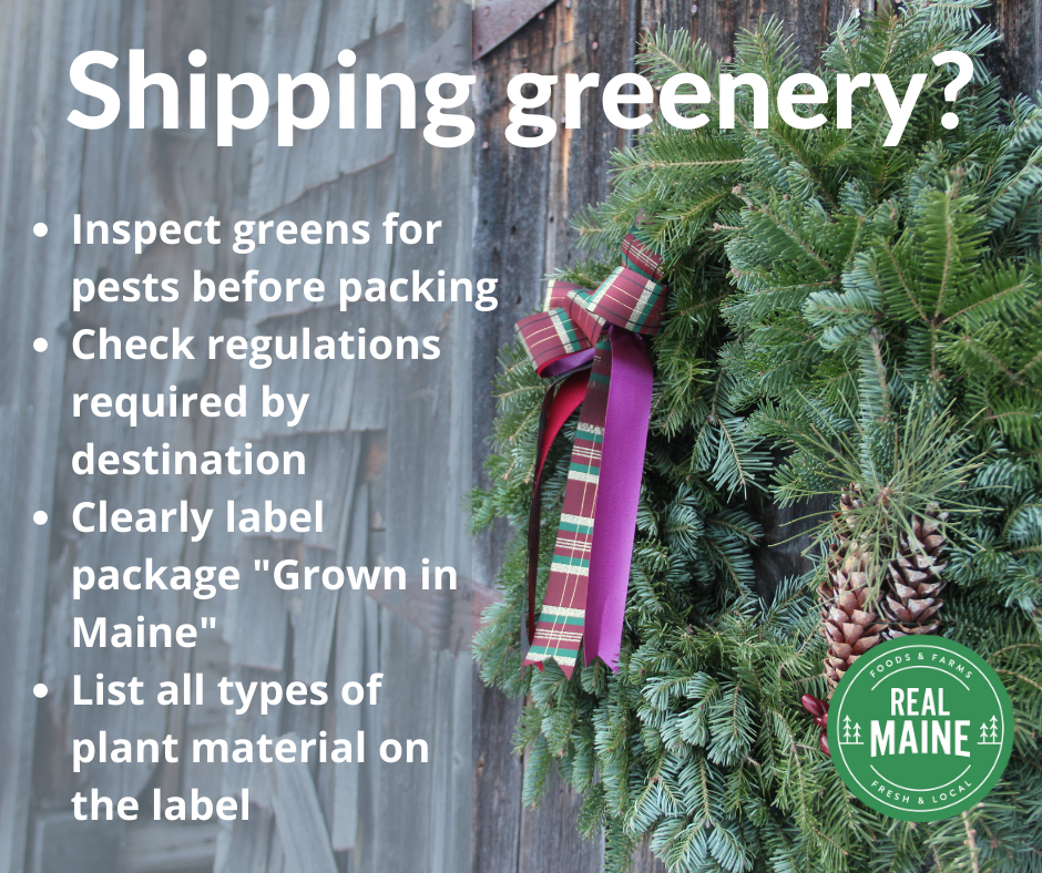 Shipping Greenery