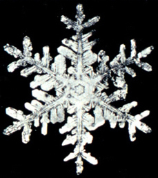 star shaped snowflake