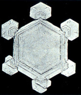 plate-shaped snowflake
