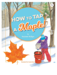 Cover image of children's book How to Tap a Maple! by Stephanie Mulligan.