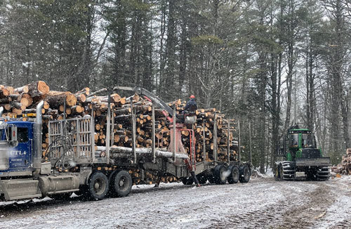 Timber being loaded on logging truck; woods in background. 