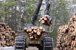 Timber harvester moving logs.