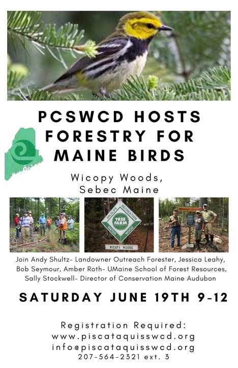 Forestry for Maine Birds in Sebec from 9 AM to Noon, Saturday, June 19.