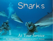 Book cover of Sharks at Your service by Maine author Mary Cerullo showing divers photographing sharks.