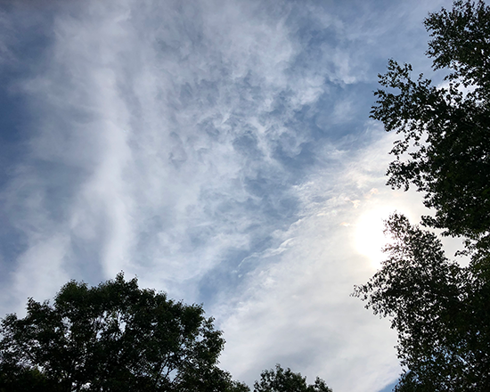 Clouds backlit by the morning sun and framed by trees.