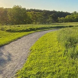 Accessible path through a hillside meadow.