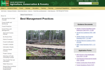 MFS BMP Webpage screen shot