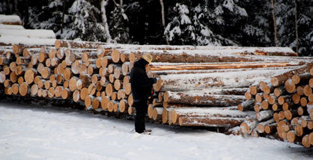 Log procurement in the field on a snowy day.