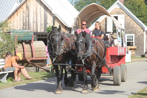 Windsor Fair