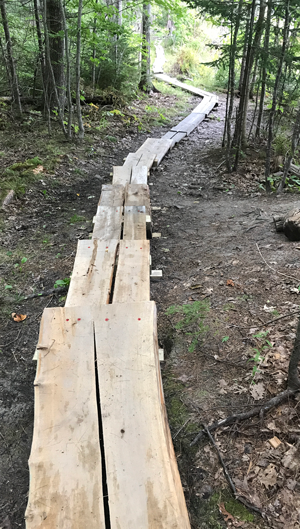 Bog bridging built by volunteers from Coastal Rivers Conservation Trust at Dodge Point Public Land.