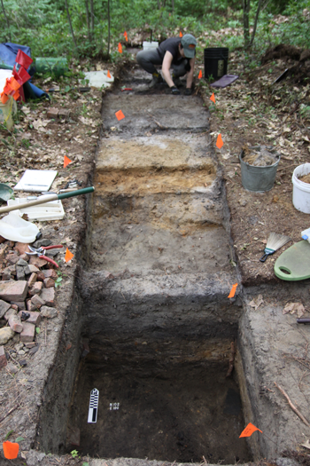 Archaeological dig showing the layers of the dig.